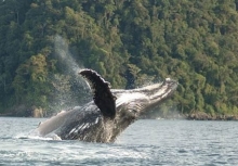 Imagen Parque Nacional Natural Uramba